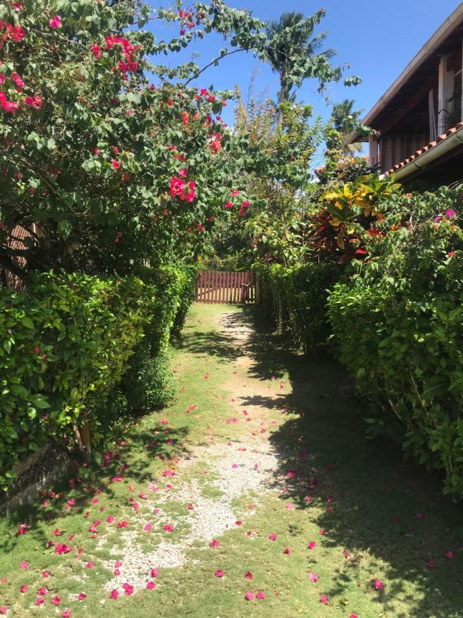 Cozy Oceanfront Villa With Direct Beach Access Las Terrenas Exteriör bild