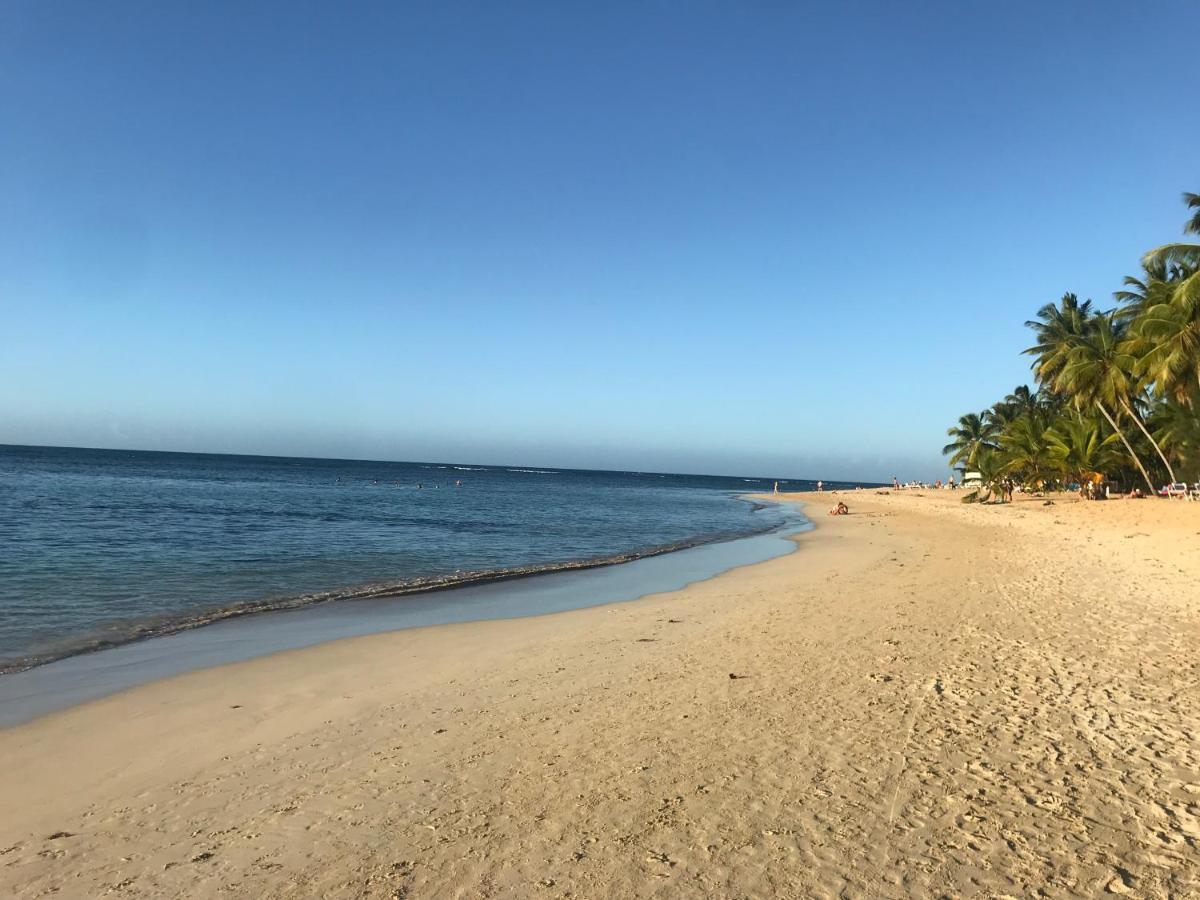 Cozy Oceanfront Villa With Direct Beach Access Las Terrenas Exteriör bild