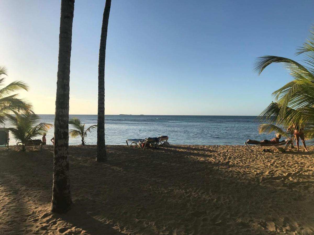 Cozy Oceanfront Villa With Direct Beach Access Las Terrenas Exteriör bild