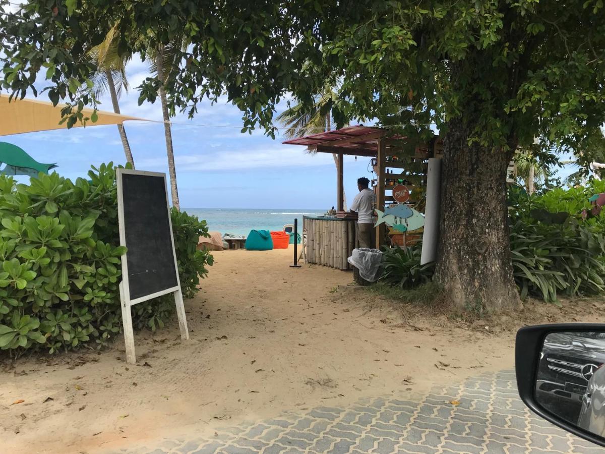 Cozy Oceanfront Villa With Direct Beach Access Las Terrenas Exteriör bild