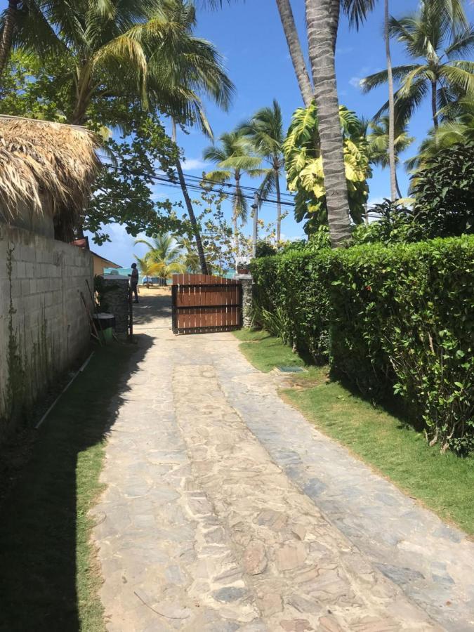 Cozy Oceanfront Villa With Direct Beach Access Las Terrenas Exteriör bild