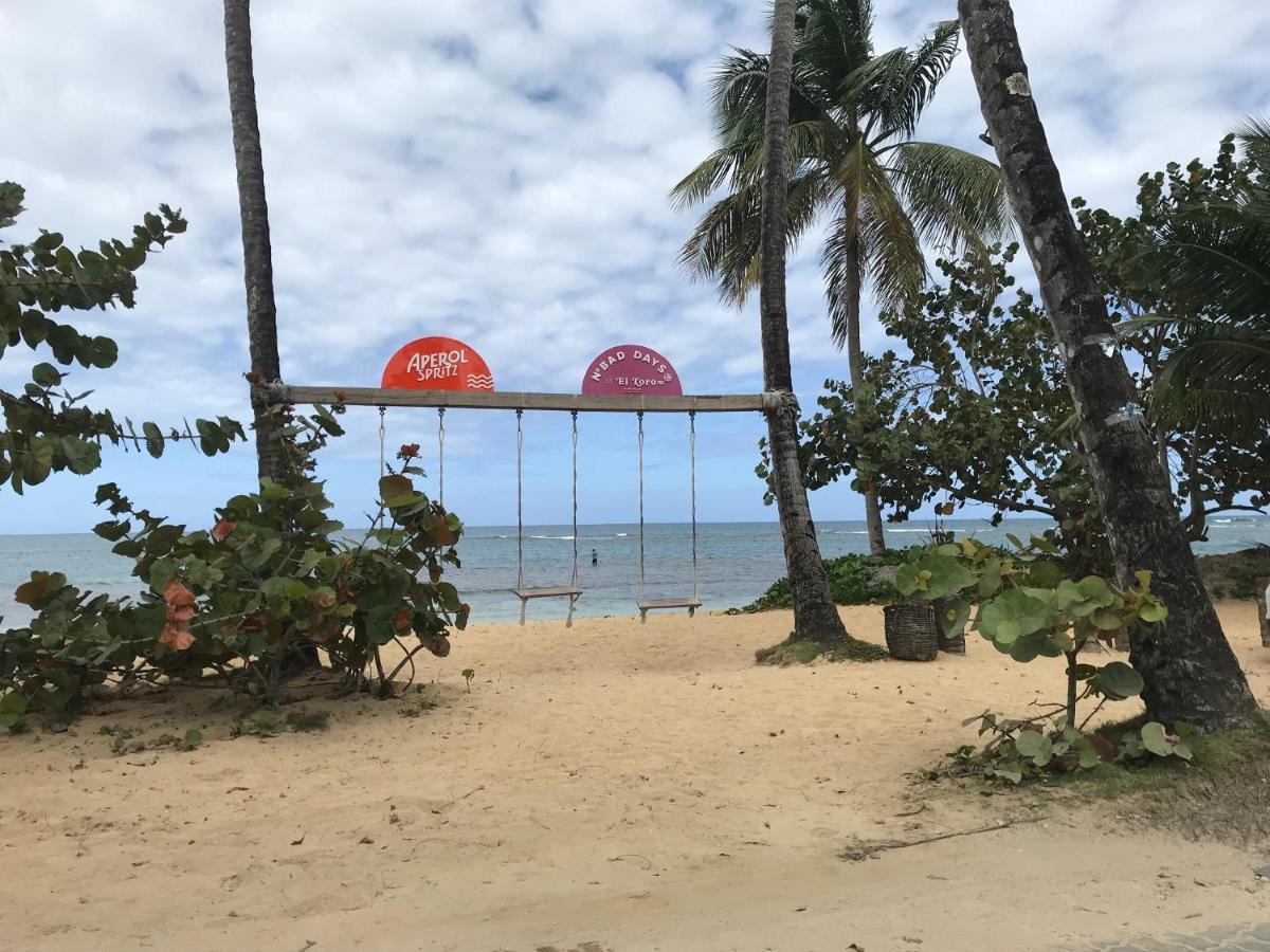 Cozy Oceanfront Villa With Direct Beach Access Las Terrenas Exteriör bild